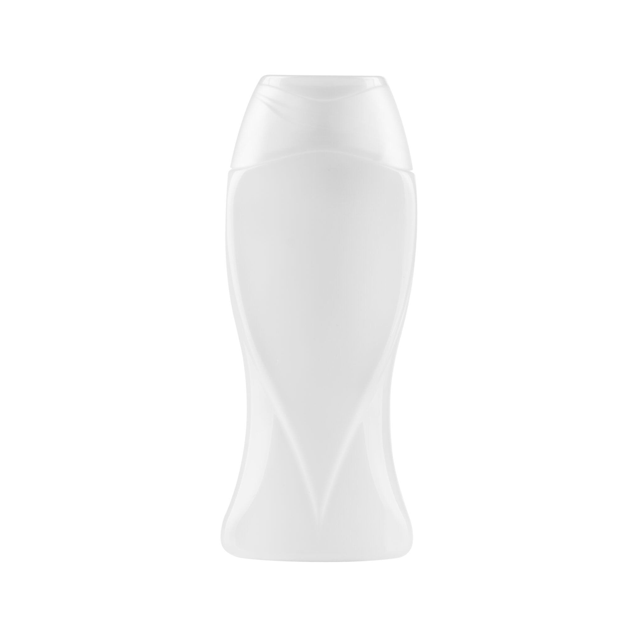 PET-Flaschen- und Verschlusssatz 320 ml (varianta 1)